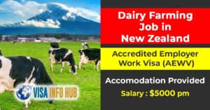 Dairy Farm Job in New Zealand